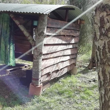 Sapphire Forest Garden Shepherd'S Hut Church Stretton Exteriör bild