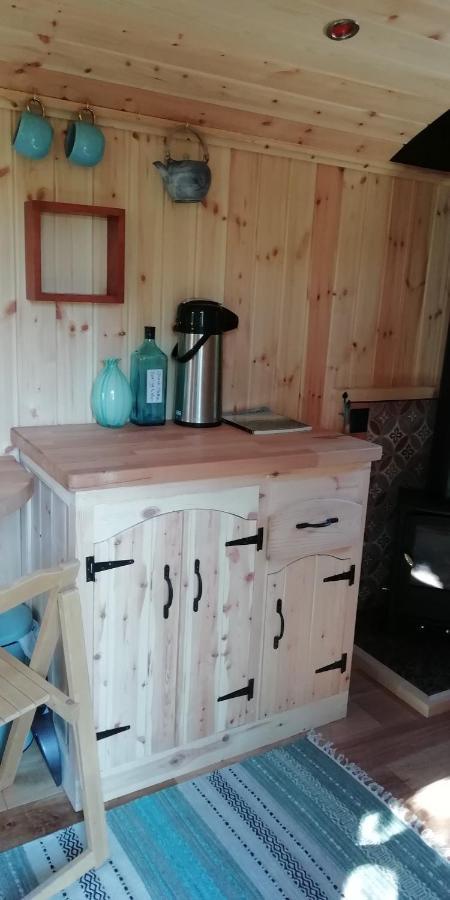 Sapphire Forest Garden Shepherd'S Hut Church Stretton Exteriör bild
