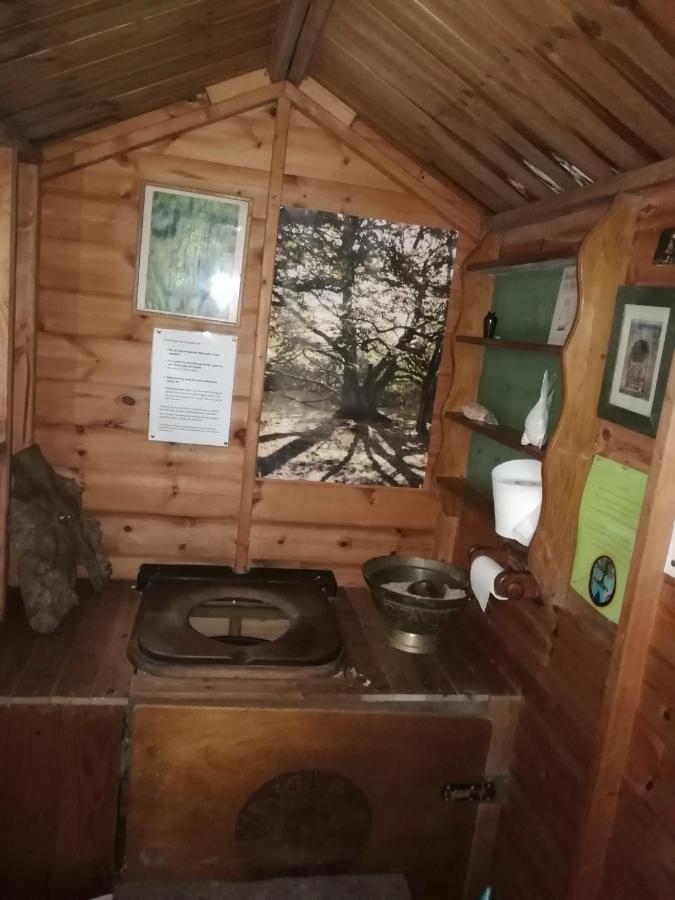 Sapphire Forest Garden Shepherd'S Hut Church Stretton Exteriör bild