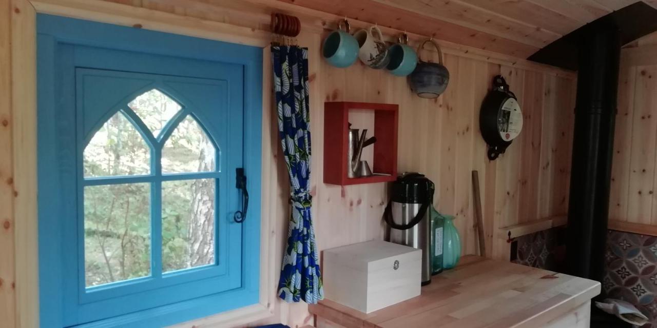 Sapphire Forest Garden Shepherd'S Hut Church Stretton Exteriör bild