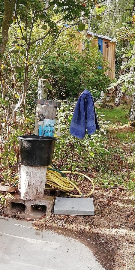 Sapphire Forest Garden Shepherd'S Hut Church Stretton Exteriör bild
