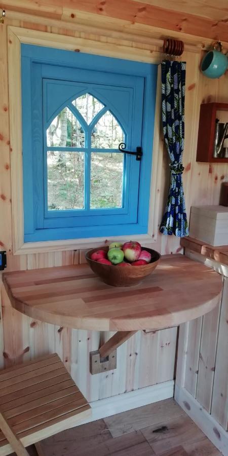 Sapphire Forest Garden Shepherd'S Hut Church Stretton Exteriör bild