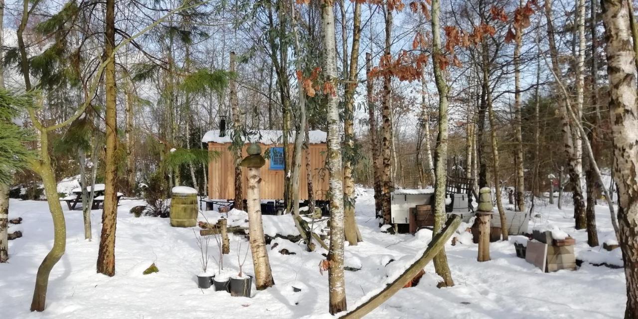 Sapphire Forest Garden Shepherd'S Hut Church Stretton Exteriör bild